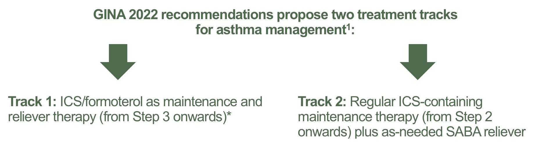 GINA 2022 recommendations propose two treatment tracks  for asthma management